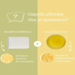 Capelli secchi o trattati - Kit Shampoo e balsamo solido