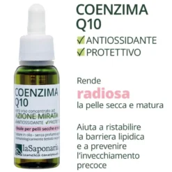Coenzima Q10