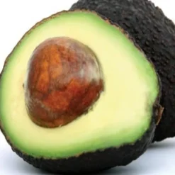 Olio di avocado
