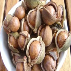 Olio di macadamia