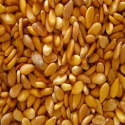 Olio di sesamo bio